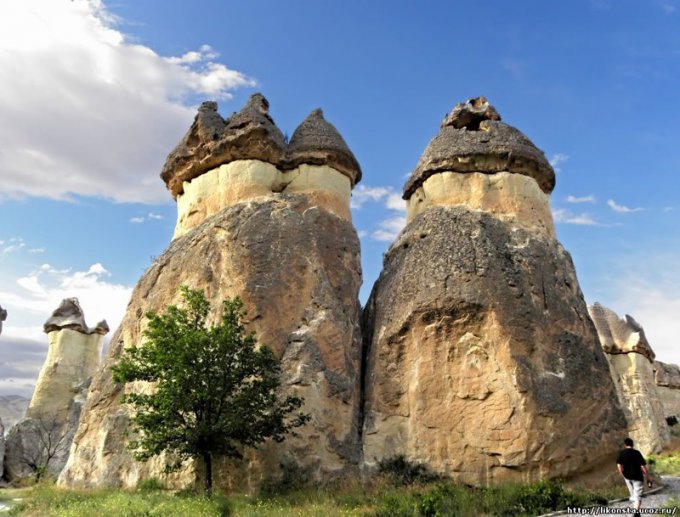 Необычные каменные грибы, разбросанные по всему миру. Фото