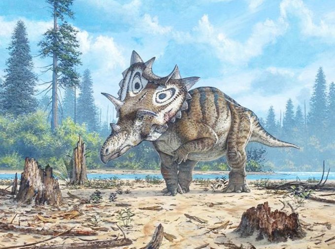 Американский ученый случайно открыл ранее неизвестный вид динозавров 