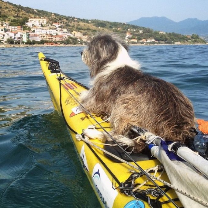 Мужчина путешествует по Средиземноморью с бездомной собакой. Фото