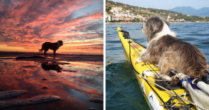 Мужчина путешествует по Средиземноморью с бездомной собакой. Фото