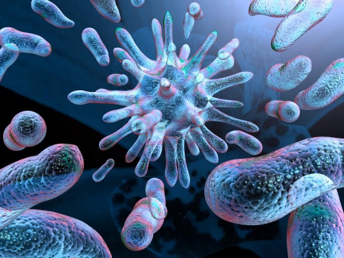 Ученые создадут бактерии для сбора данных об организме человека