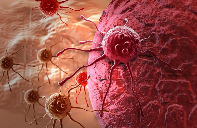Ученые выяснили, как раковые клетки уничтожают организм