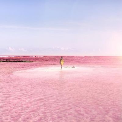 Уникальная розовая лагуна в Мексике. Фото