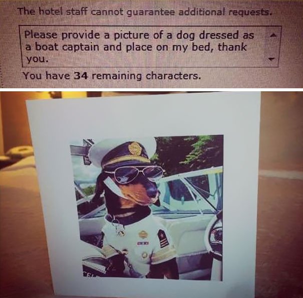 Работники отелей всерьез выполнили шуточные требования клиентов. Фото