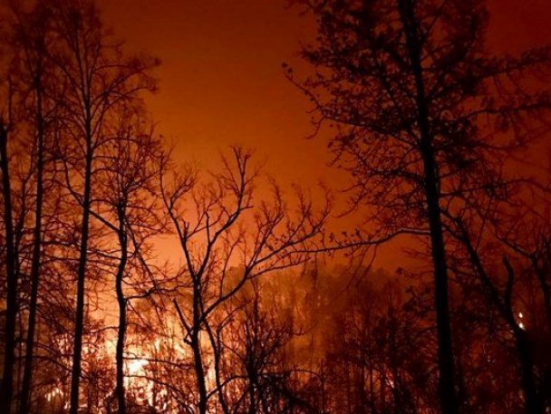 Пожар в Теннесси называют «пожаром столетия». Фото