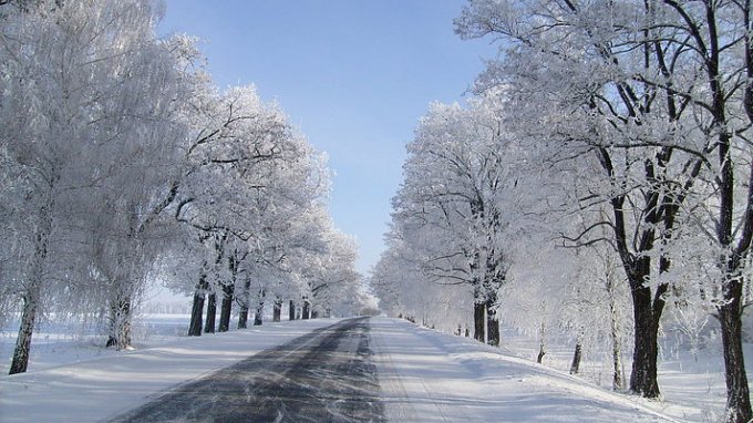 Мороз и снегопад: такая погода ждет украинцев на Рождество