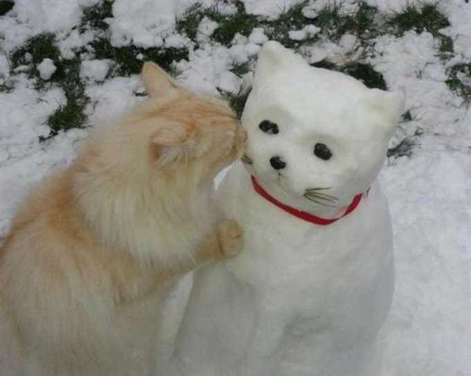 Эти снеговики заслуживают на "Оскар". Фото