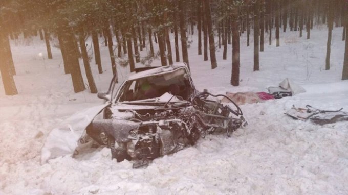 Жуткая автокатастрофа в Белоруссии: три человека погибли