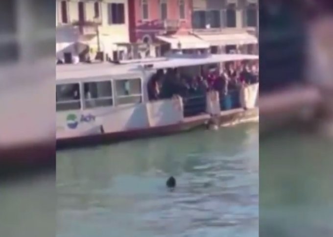На глазах у туристов в Венеции утонул беженец из Африки