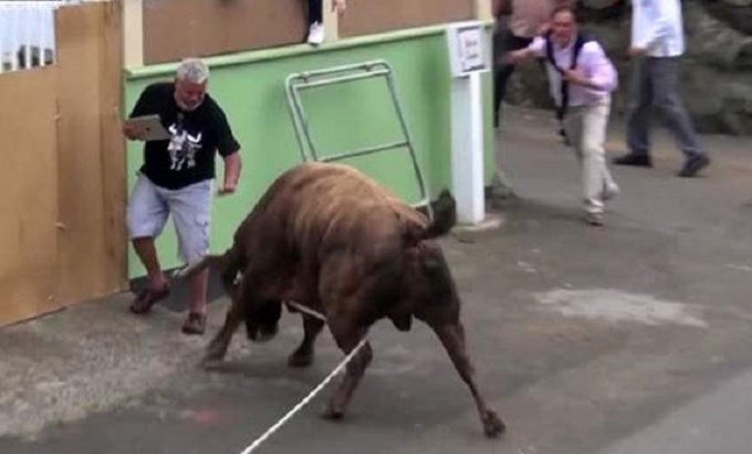 Впечатляющие кадры нападения огромного быка на "зеваку". Видео