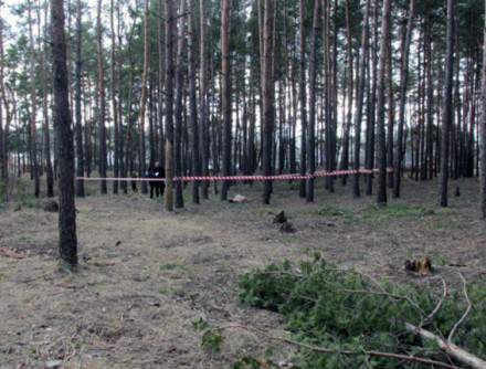 В лесу на Харьковщине нашли мертвой молодую женщину