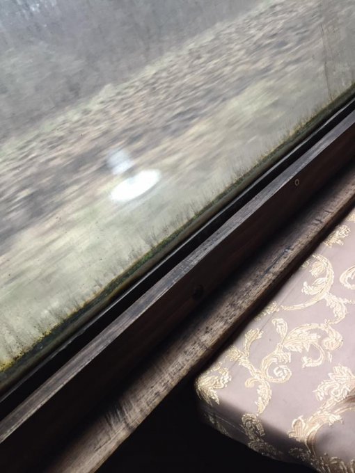 Пассажиры в шоке: в поезде «Укрзализныци» растет трава