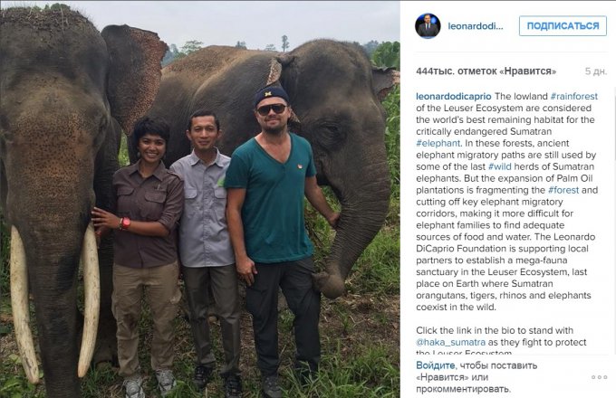 ДиКаприо пригрозили депортировать из Индонезии из-за скандального снимка