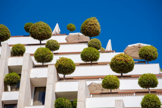 Великолепные дома с «живыми» крышами, на которых растут цветы и деревья. Фото