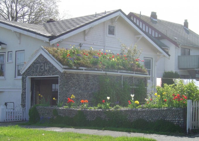 Великолепные дома с «живыми» крышами, на которых растут цветы и деревья. Фото