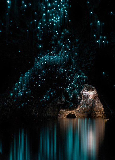 Новозеландские пещеры, в которых живут тысячи светлячков. Фото