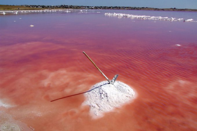 Удивительное розовое озеро на австралийском острове. Фото