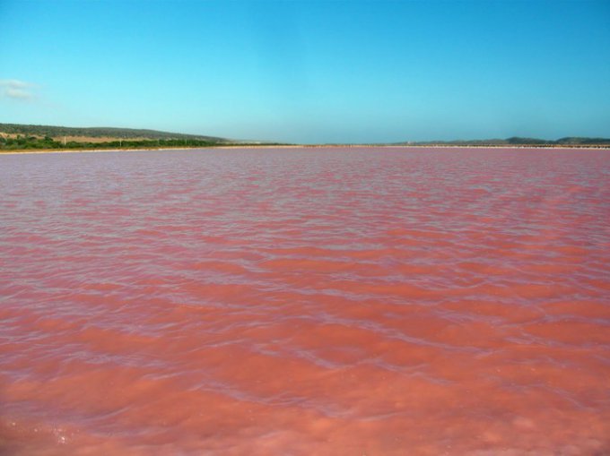 Удивительное розовое озеро на австралийском острове. Фото