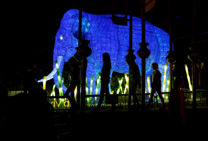 Красочный фестиваль световых скульптур в Сиднее. Фото