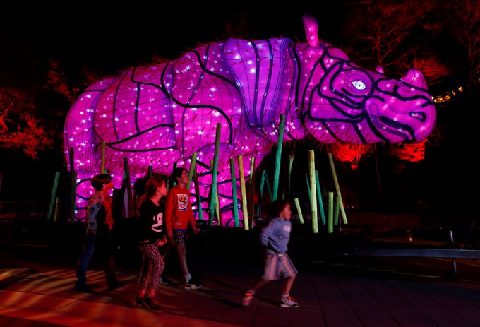 Красочный фестиваль световых скульптур в Сиднее. Фото