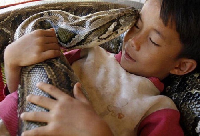 Удивительная дружба маленького камбоджийца и гигантского питона. Фото