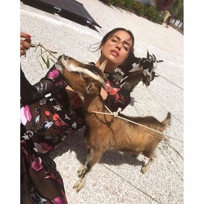 Ирина Шейк поделилась необычным фото с домашними козами