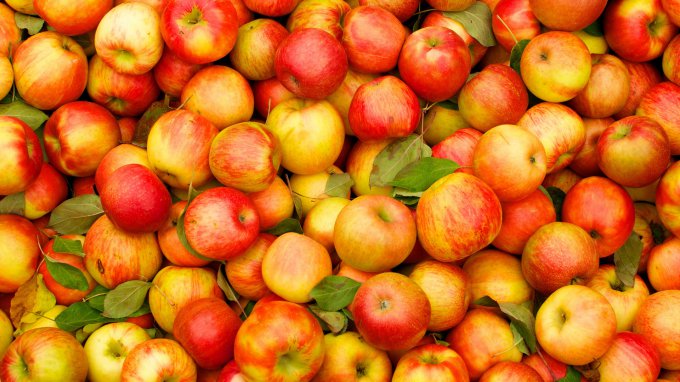 В Украине существенно подешевели яблоки