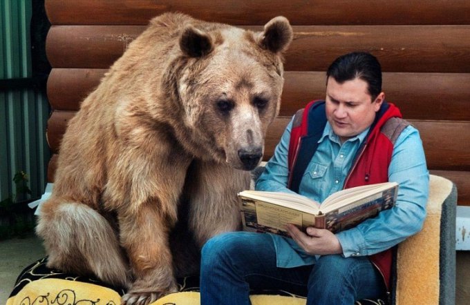 Зачем мелочиться: в одной российской семье живет настоящий медведь. Фото
