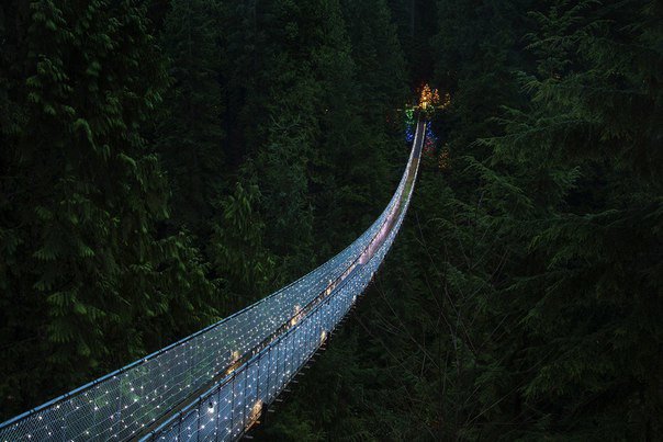 Канадский подвесной мост для настоящих смельчаков. Фото