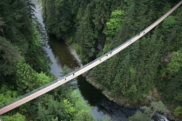 Канадский подвесной мост для настоящих смельчаков. Фото