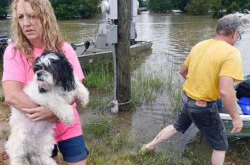 Наводнение в Луизиане - эвакуировано около 20 тысяч человек. Фото