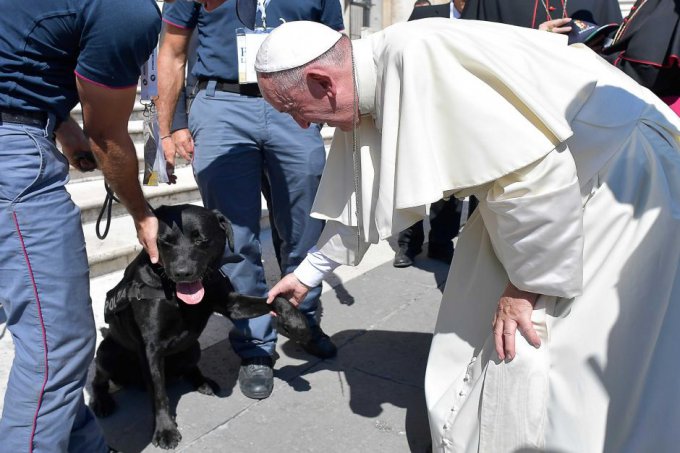 Папа римский пожал лапу героическому псу. Видео