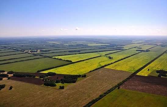 Президент Украины утвердил продление моратория на продажу сельхозземель