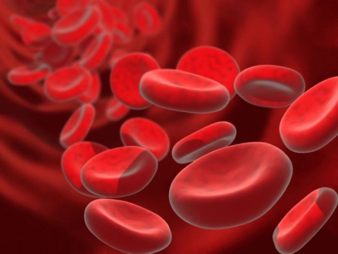 Австралийские ученые вырастили искусственные кровяные клетки