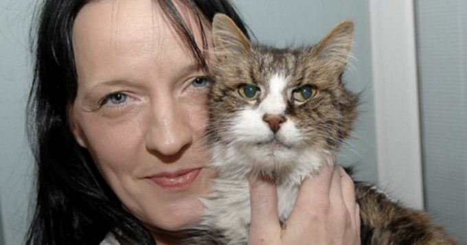 Кошка, пропавшая 14 лет назад, возвращена хозяйке