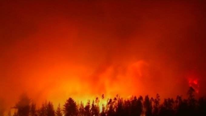 В Чили лесной пожар унес жизни шестерых человек. Видео