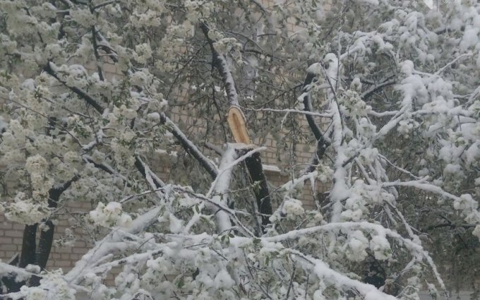 Апрелю больше не наливать: Одессу завалило снегом. Фото