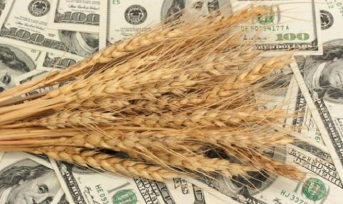 4,6 миллиарда долларов: украинские аграрии впечатлили цифрами экспорта