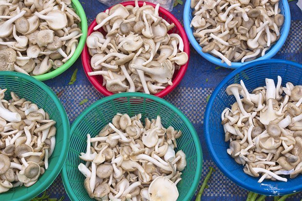 Украинцам напомнили, как правильно собирать и готовить грибы