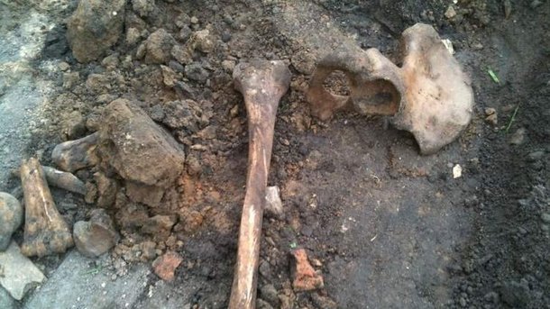 Харьков: во дворе жилого дома найдены человеческие останки