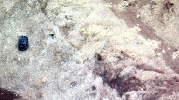Уфологи обнаружили на Марсе Дарта Вейдера