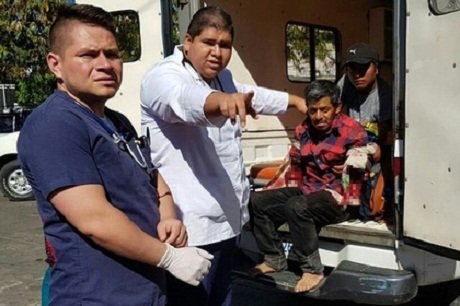 В Гватемале голодные тигры оторвали мужчине руки