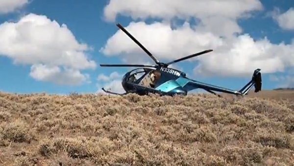 В США вертолет  столкнулся с лосем
