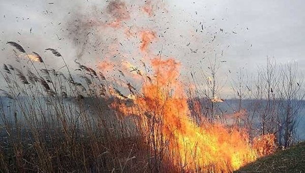 В Винницкой области заживо сгорел годовалый ребенок