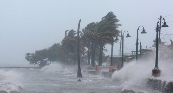 На побережье США обрушится тропический ураган