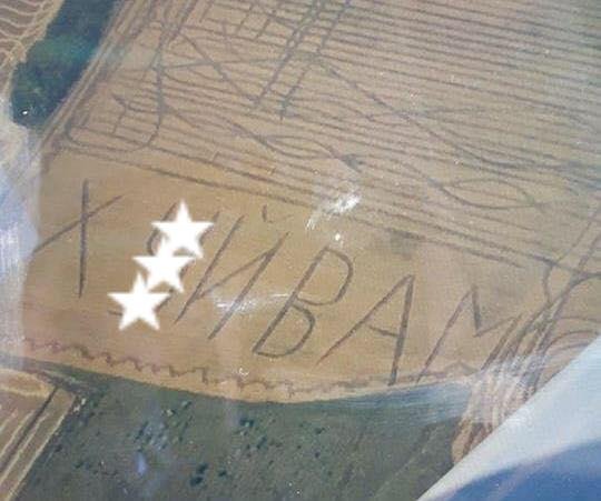 В Одесской области на поле выстригли огромную нецензурную надпись