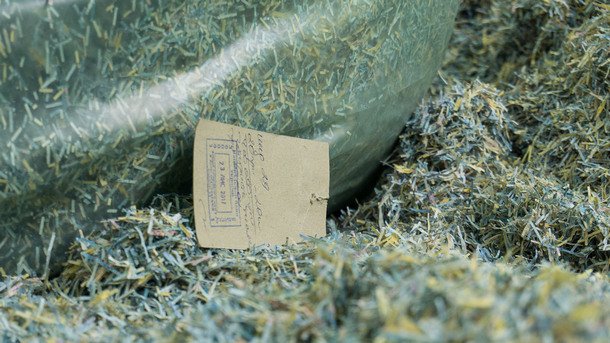 На Днепропетровщине нашли мешки с миллионами гривен. Видео