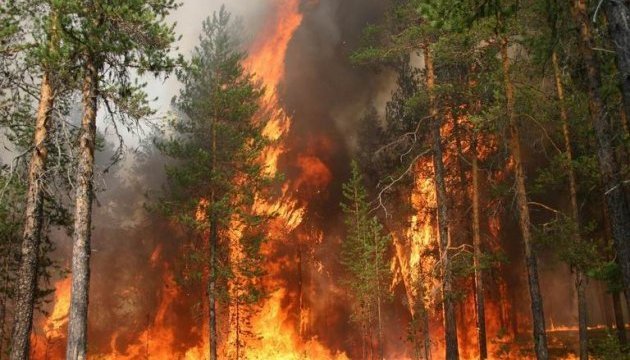 Украинцев предупредили о высокой пожароопасности