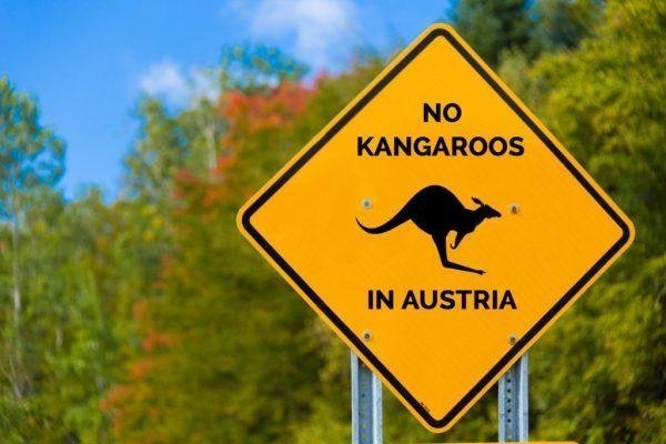 В Австрії помітили кенгуру