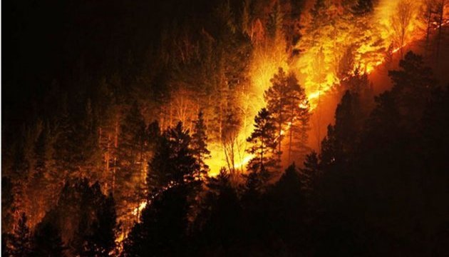 Лісові пожежі охопили Португалію